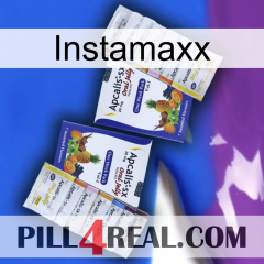 Instamaxx 12